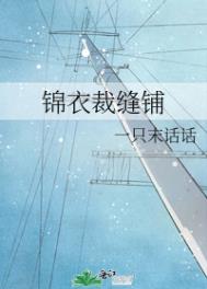《錦衣裁縫鋪》封面
