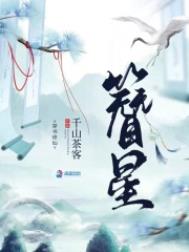 《簪星》封面