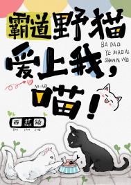 《霸道野貓愛上我，喵！》封面