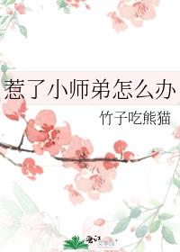 《惹了小師弟怎麼辦》封面