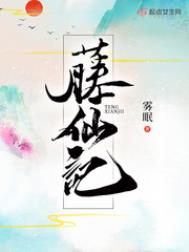 《藤仙記》封面