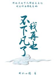 《我再也不下凡了》封面