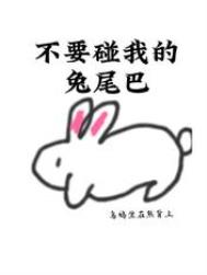 《不要碰我的兔尾巴》封面