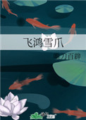 《飛鴻雪爪》封面