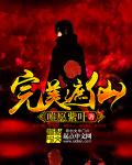 《完美遮仙》封面
