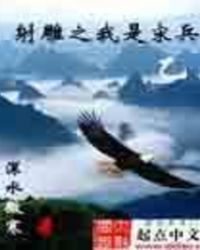 《射鵰之我是宋兵乙》封面