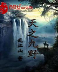 《天之九野》封面