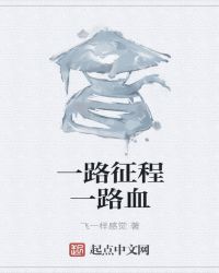 《一路征程一路血》封面