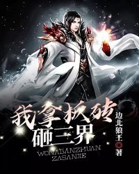 《我拿板磚砸三界》封面
