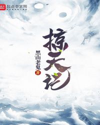 《掠天記》封面