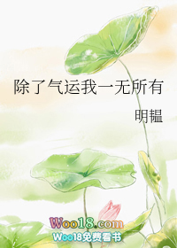 《除了氣運我一無所有》封面