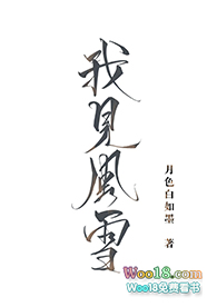 《我見風雪》封面