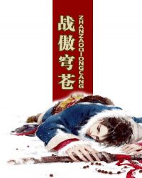 《戰傲穹蒼》封面