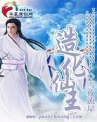 《造化仙王》封面