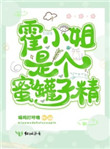 《霍小姐是個蜜罐子精》封面
