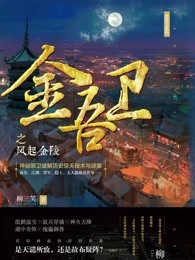 《金吾衞之風起金陵》封面