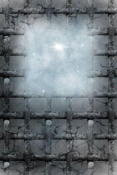《王蟲在上[蟲族]》封面