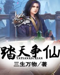 《踏天爭仙》封面