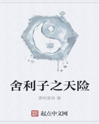 《舍利子之天險》封面