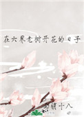 《在六界老樹開花的日子》封面