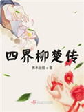 《四界柳楚傳》封面