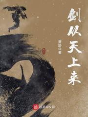 《劍從天上來》封面