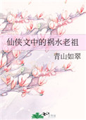 《仙俠文中的禍水老祖》封面