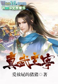 《真武主宰》封面