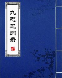 《九思見聞錄》封面