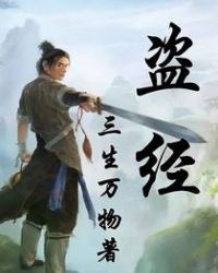 《盜經》封面