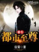 《重生都市至尊》封面