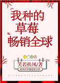 《我種的草莓暢銷全球》封面