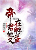 《帝君他又在孵蛋》封面