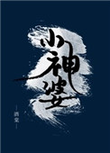 《小神婆》封面