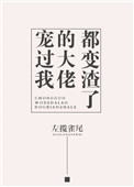 《寵過我的大佬都變渣了》封面