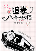 《追妻八十一難》封面