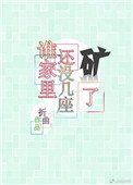《誰家裏還沒幾座礦了》封面