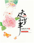 《夫人芳齡三歲半》封面