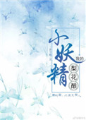 《我的梨花釀小妖精》封面