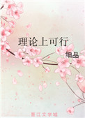 《理論上可行》封面