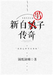 《新白男子傳奇》封面