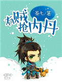 《有賊搶內丹》封面