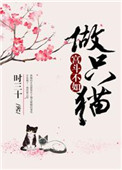 《宮鬥不如做只貓》封面
