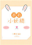 《家養小妖精》封面