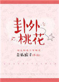 《卦外桃花》封面