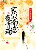 《寂寂南宮夜青雨》封面