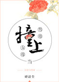 《當男尊撞上女尊》封面