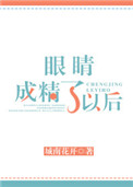 《眼睛成精了以後》封面