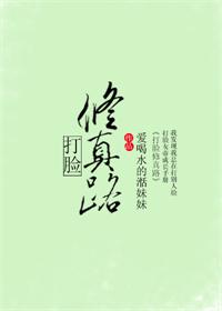 《打臉修真路》封面