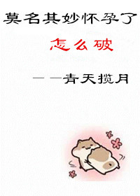 《莫名其妙懷孕了怎麼破》封面